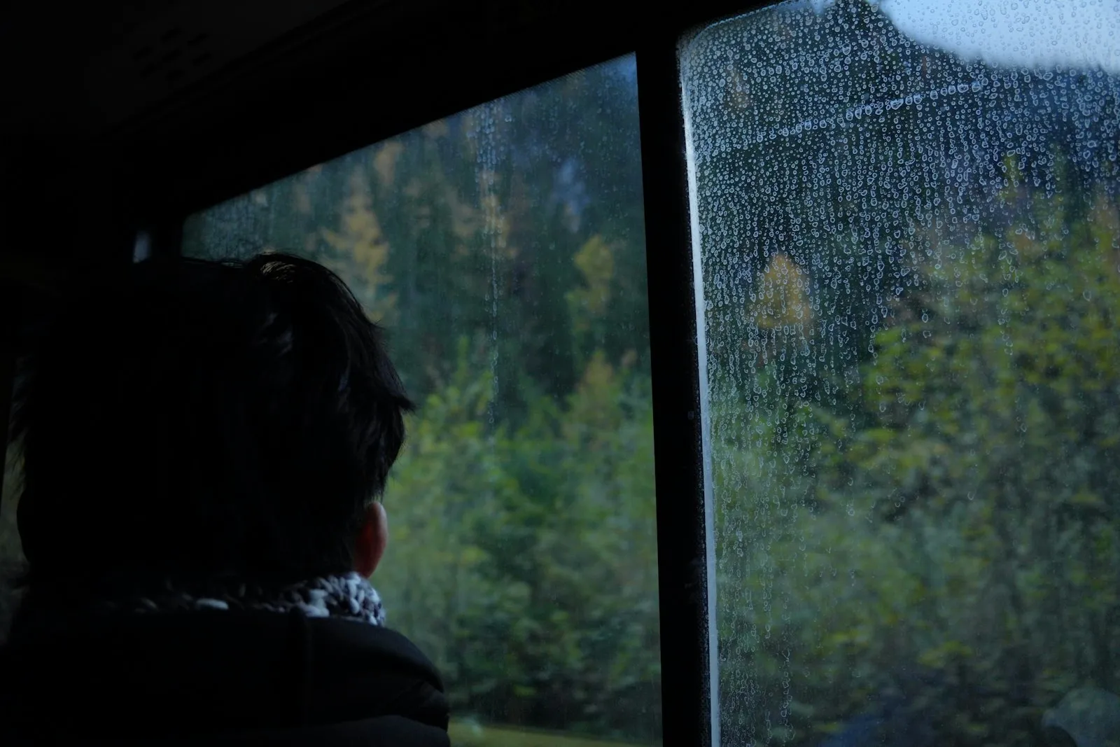 Persona mirando por la ventana hacia el bosque