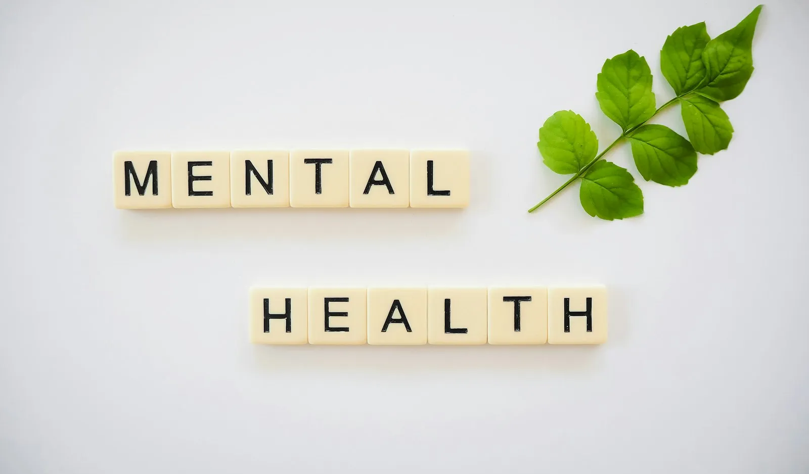 Letras que forman las palabras mental health junto a una hoja verde