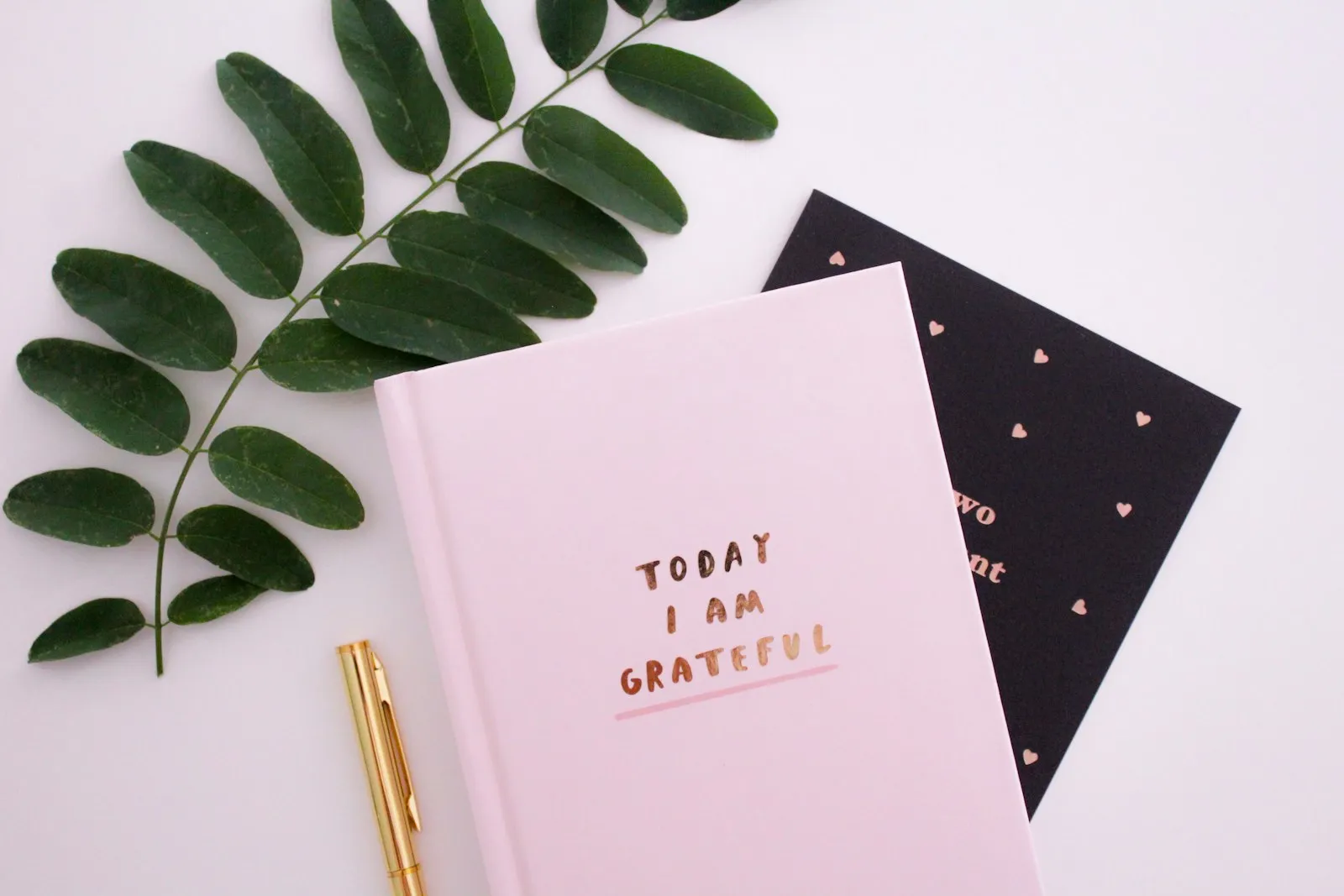Diario de gratitud rosa