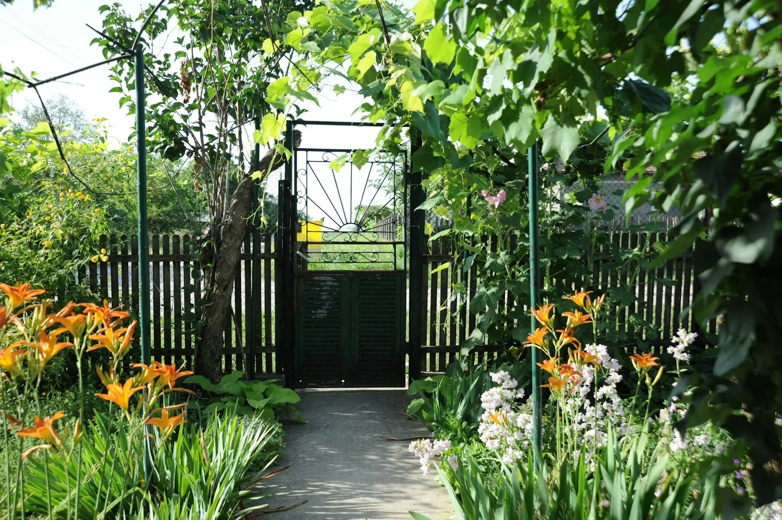 Portón de jardín rodeado de flores