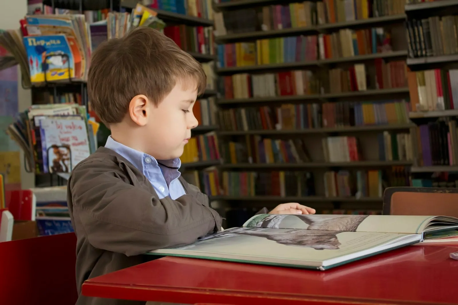 Niño leyendo en una biblioteca